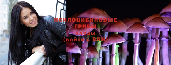 прущие крисы Абаза