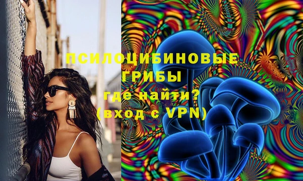 прущие крисы Абаза