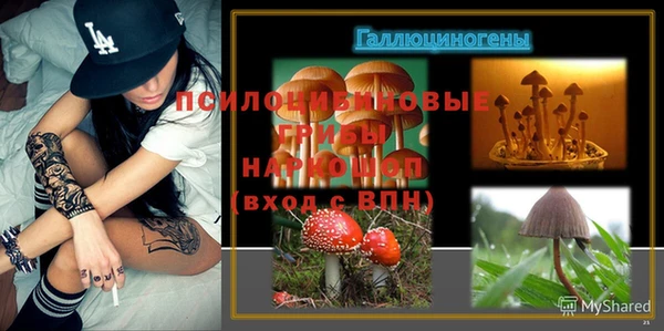 прущие крисы Абаза