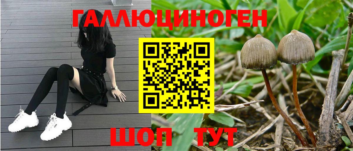 Псилоцибиновые грибы Psilocybe  как найти закладки  Иркутск  Галлюциногенные грибы Psilocybe  Вход с VPN 