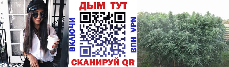 kraken ССЫЛКА  Иркутск  Марихуана SATIVA & INDICA  хочу наркоту 